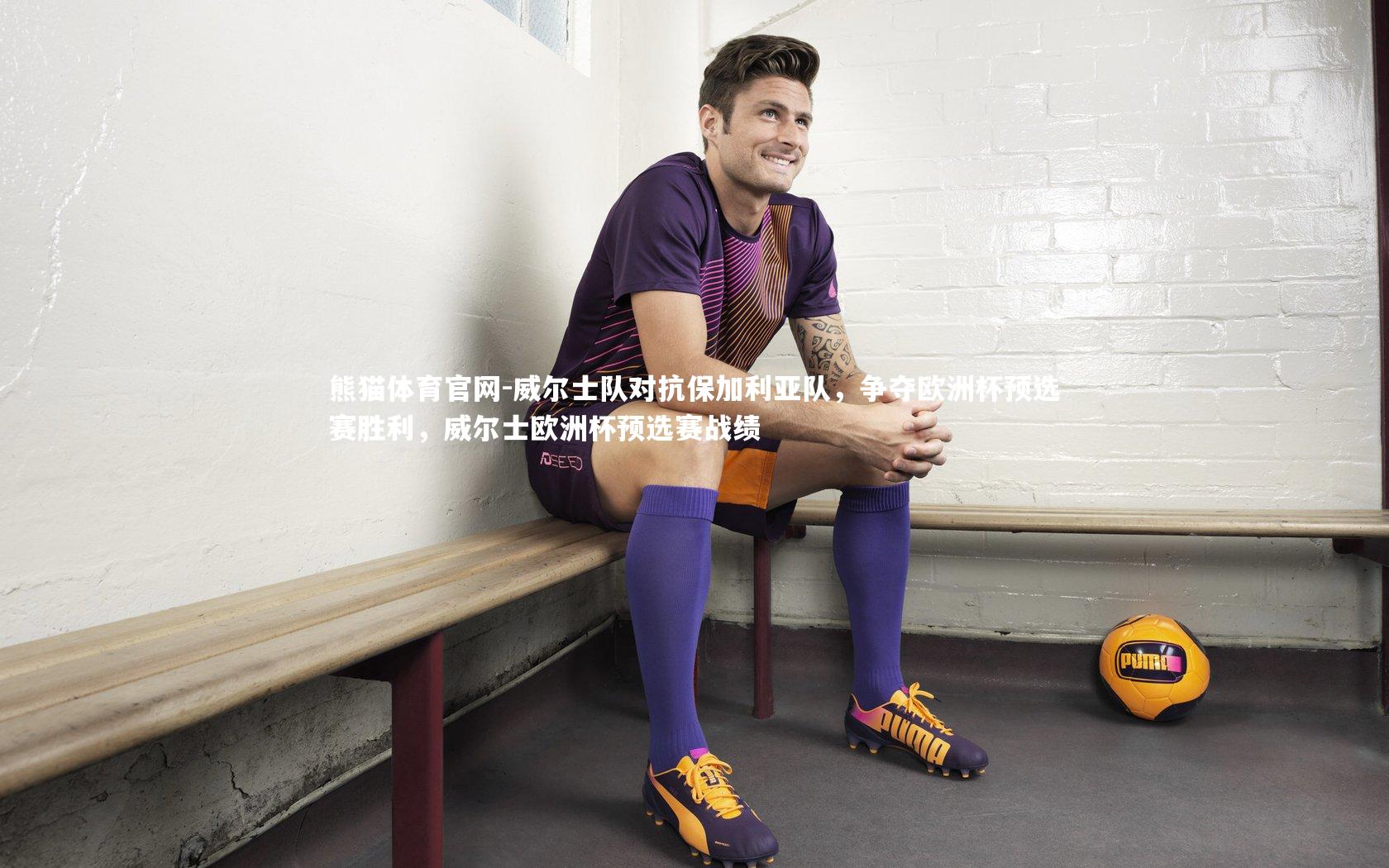 威尔士队对抗保加利亚队,争夺欧洲杯预选赛胜利,威尔士欧洲杯预选赛战绩