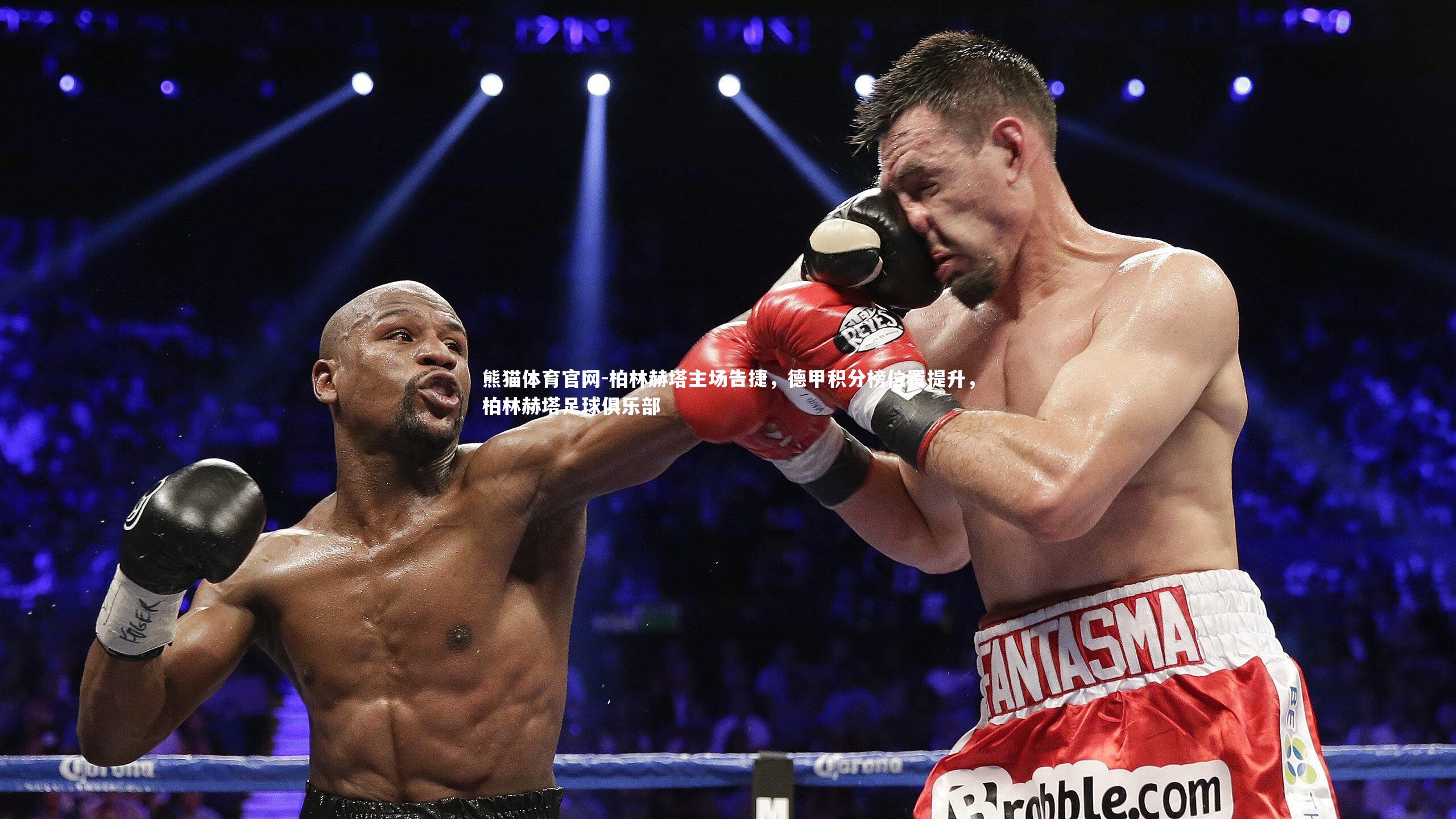 熊猫体育官网-柏林赫塔主场告捷，德甲积分榜位置提升，柏林赫塔足球俱乐部