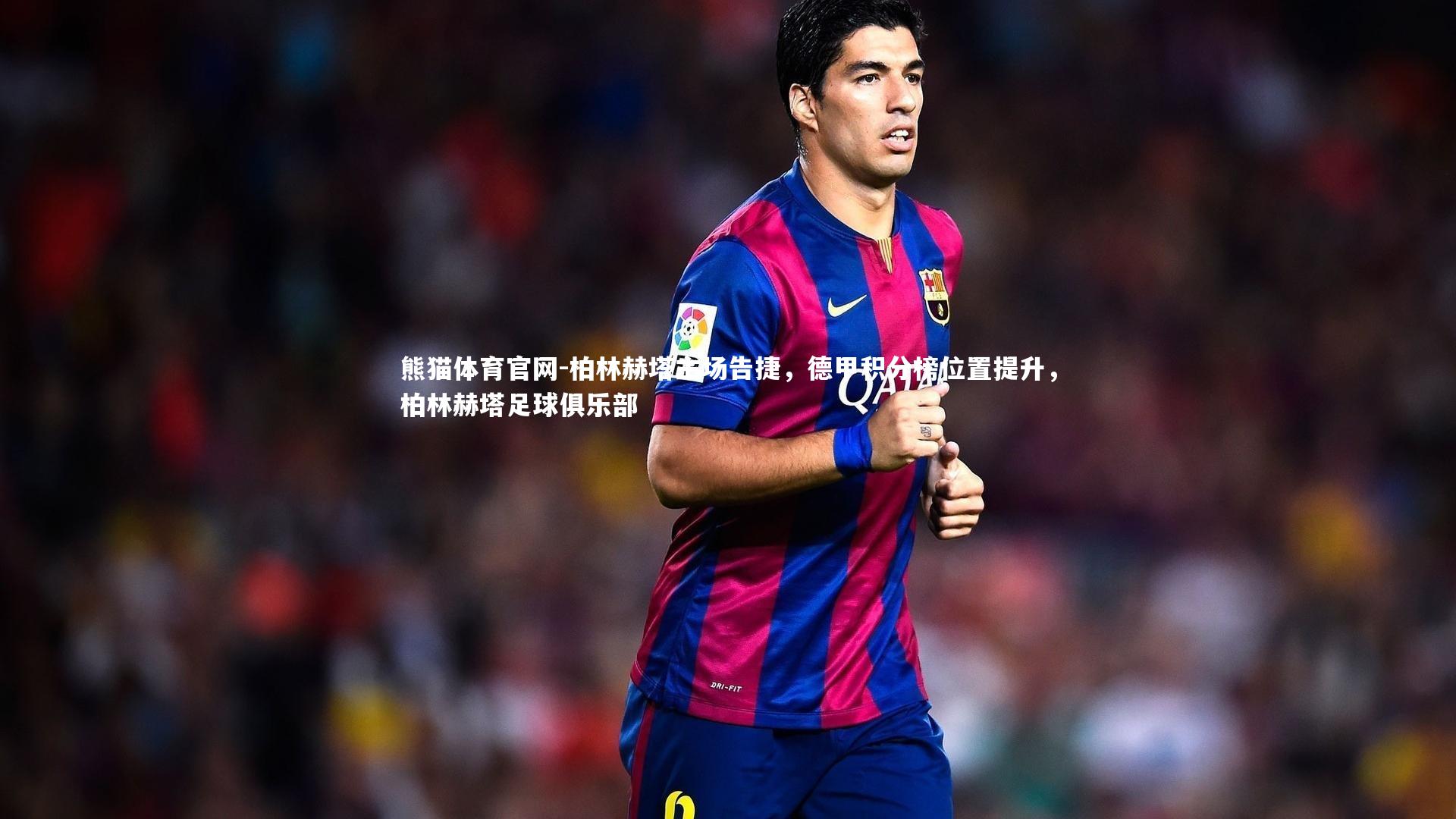 柏林赫塔主场告捷,德甲积分榜位置提升,柏林赫塔足球俱乐部